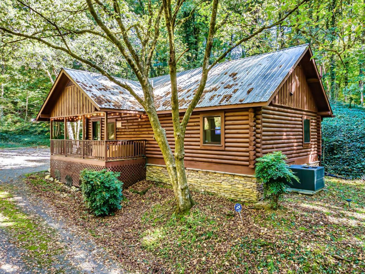 Vila Bear Nakid Pigeon Forge Exteriér fotografie